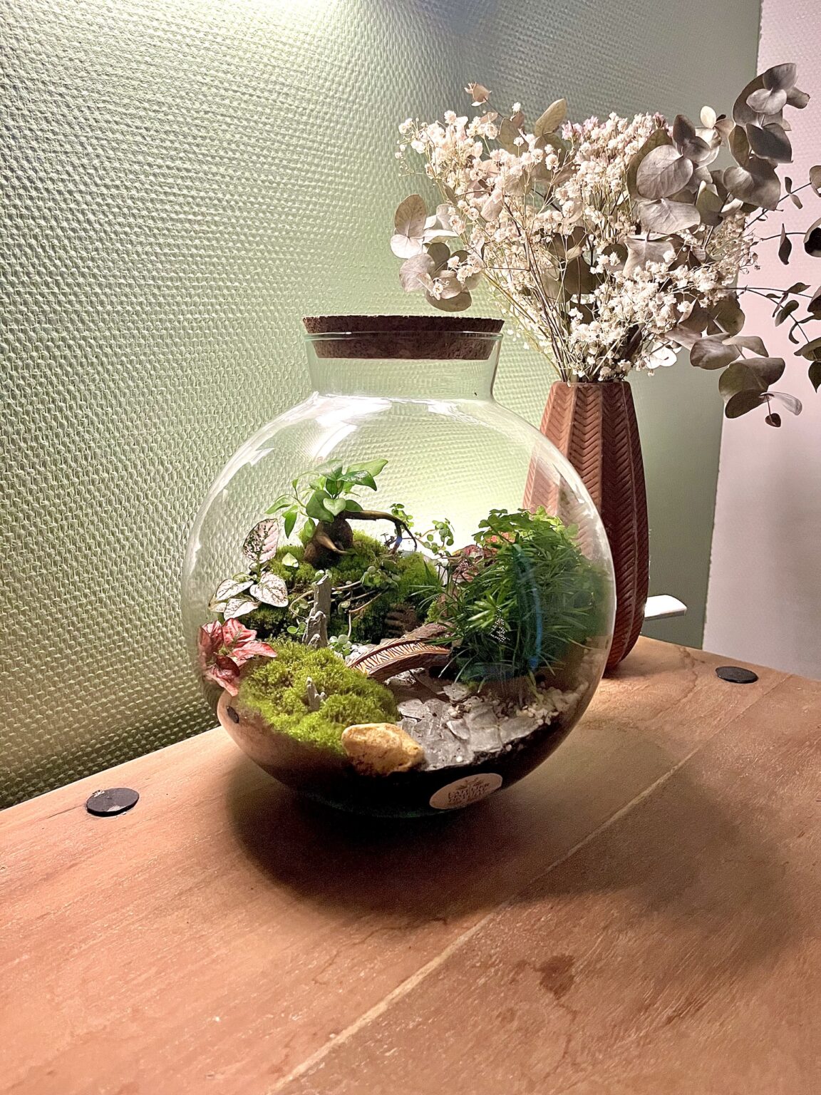 Terrarium végétal artisanal en verre fermé avec plantes naturelles by l'Atelier Végétal de Lulu