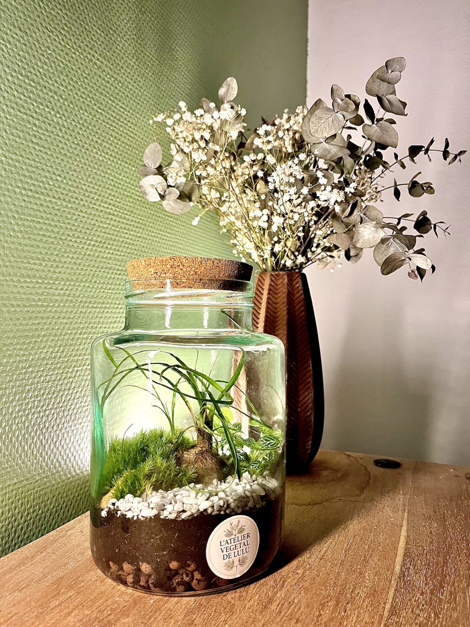 Terrarium végétal artisanal en verre fermé avec plantes naturelles by l'Atelier Végétal de Lulu