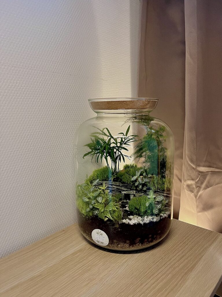 Terrarium végétal artisanal en verre fermé avec plantes naturelles by l'Atelier Végétal de Lulu