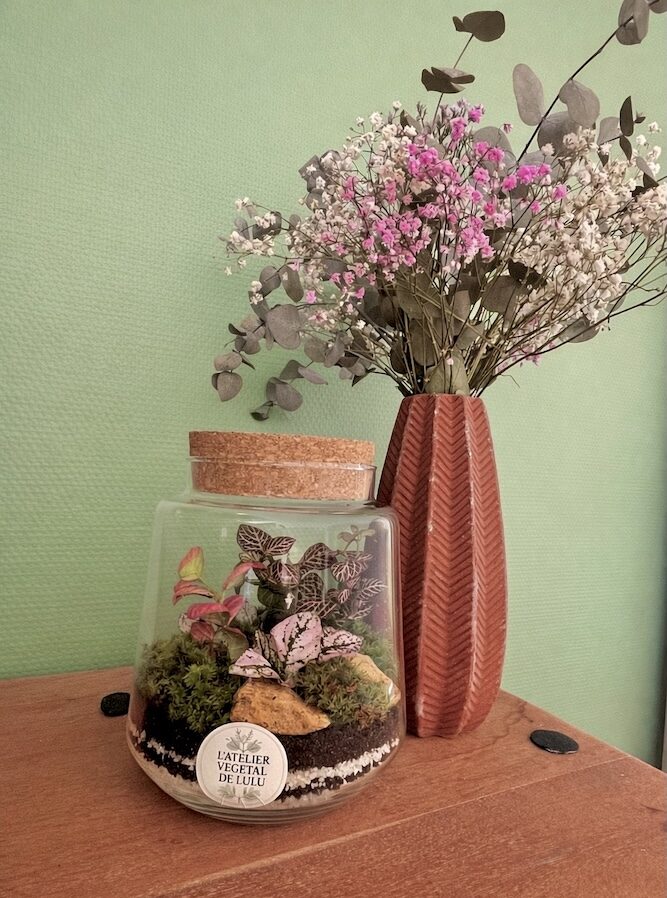 Terrarium végétal artisanal en verre fermé avec plantes naturelles by l'Atelier Végétal de Lulu