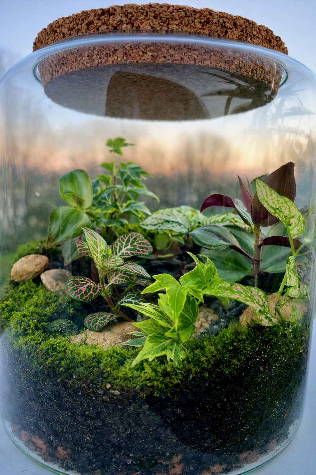 La Clairière Végétale