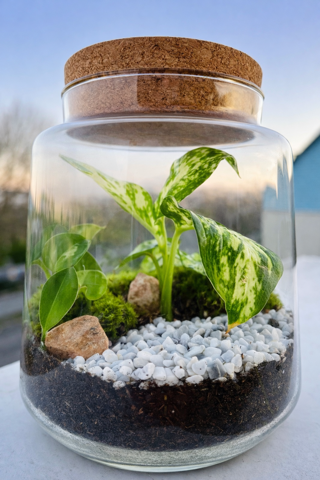 La Présence végétale