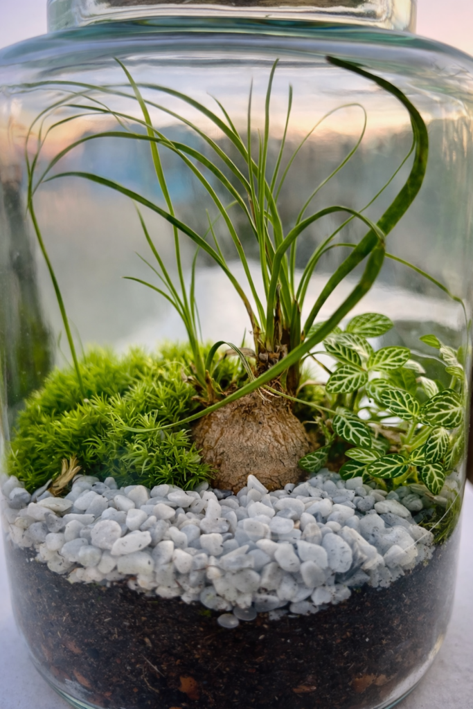 Le Silence Végétal