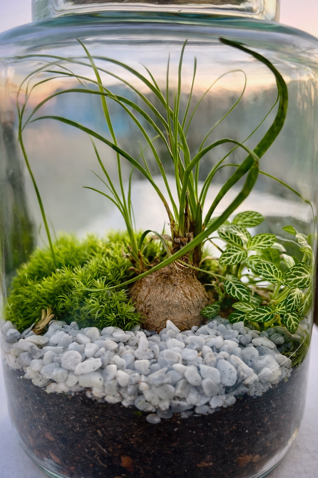 Le Silence Végétal