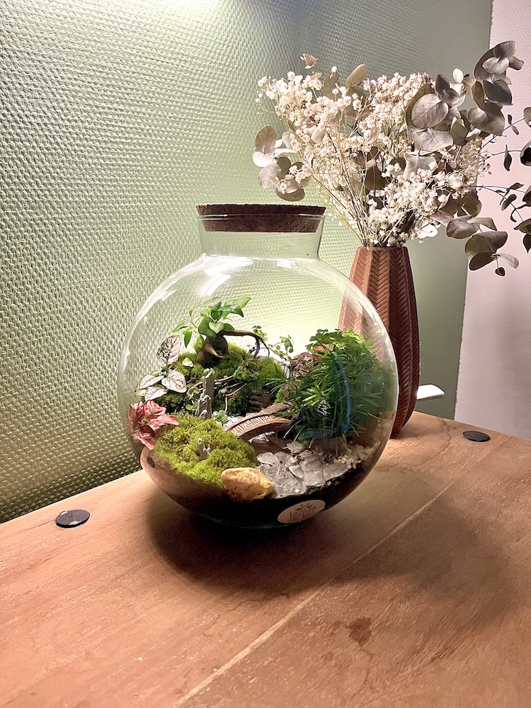 Terrarium végétal artisanal en verre fermé avec plantes naturelles by l'Atelier Végétal de Lulu