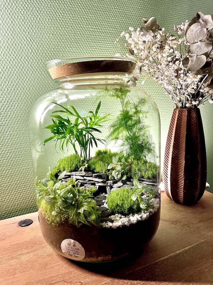 Terrarium végétal artisanal en verre fermé avec plantes naturelles by l'Atelier Végétal de Lulu