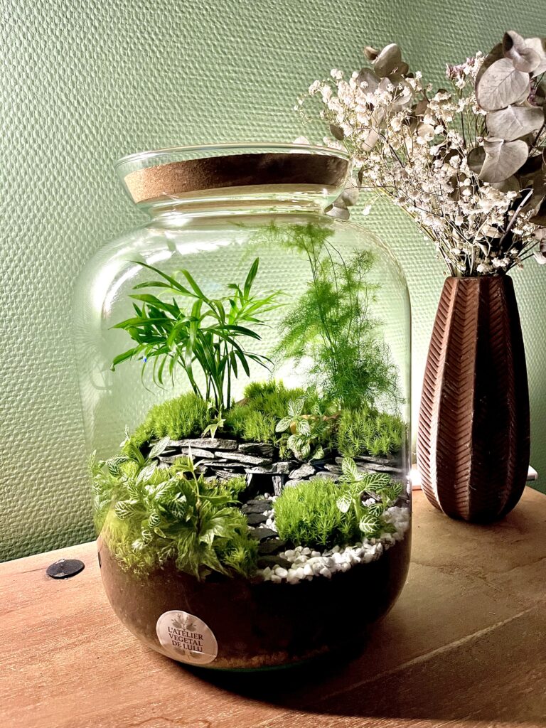 Terrarium végétal artisanal en verre fermé avec plantes naturelles by l'Atelier Végétal de Lulu