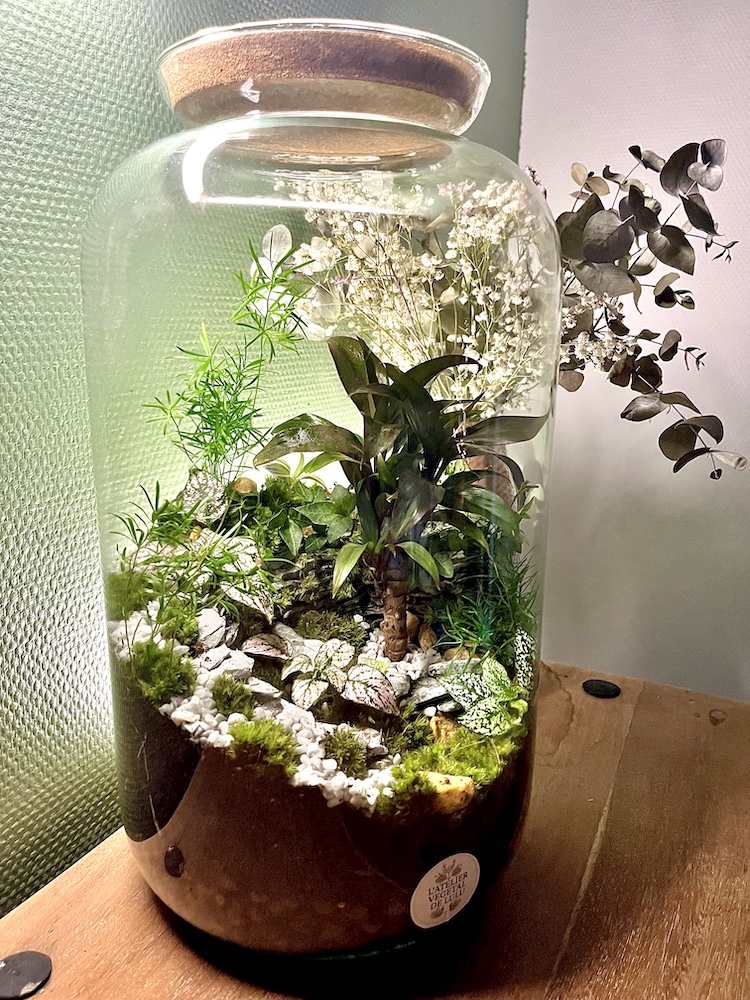 Le chemin des brumes