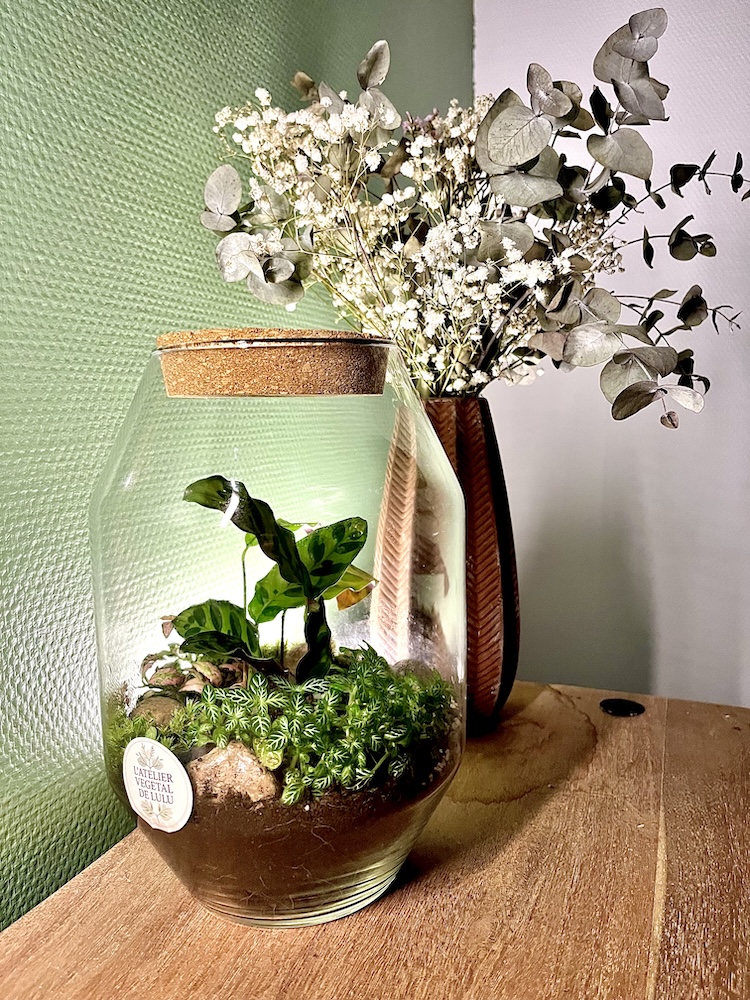 Le Souffle Végétal