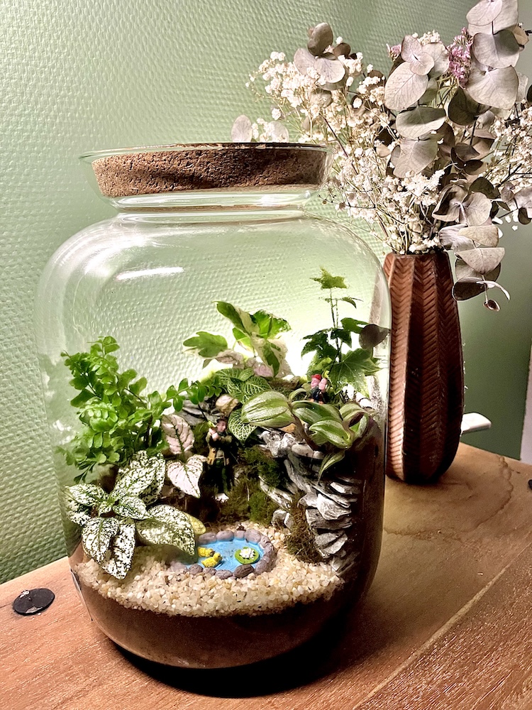 Terrarium végétal artisanal en verre fermé avec plantes naturelles by l'Atelier Végétal de Lulu