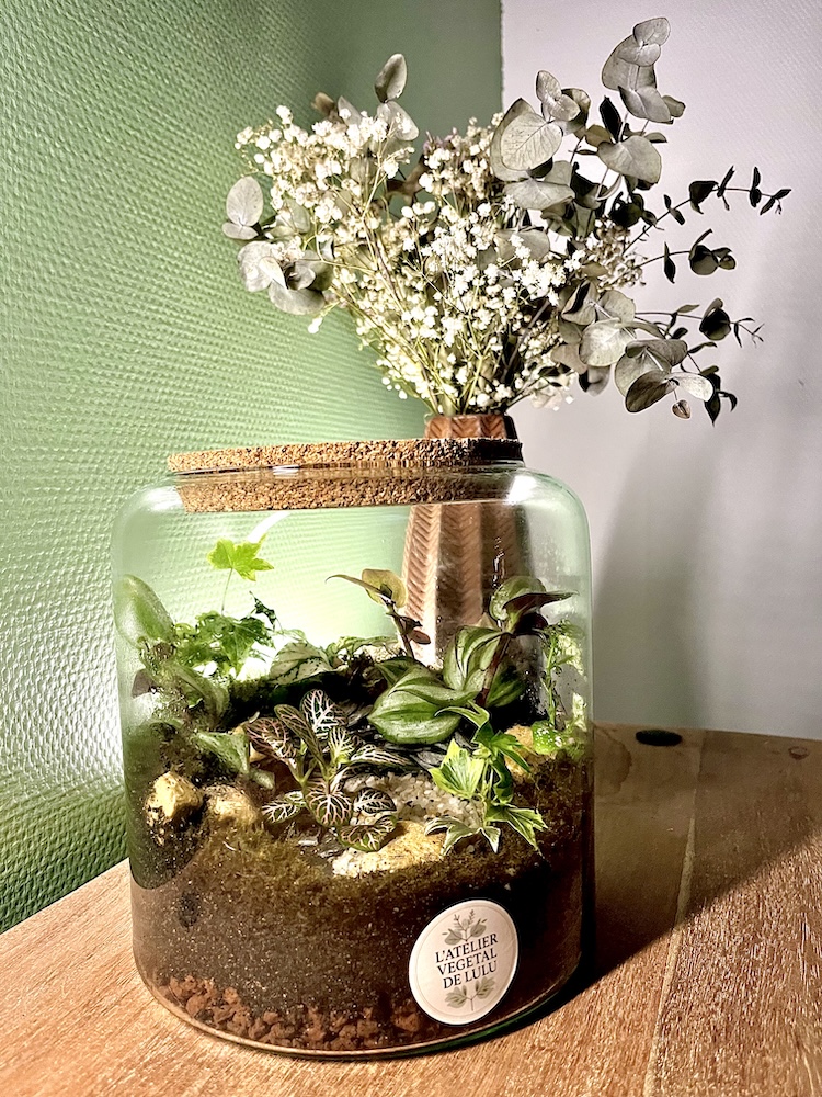 La Clairière Végétale