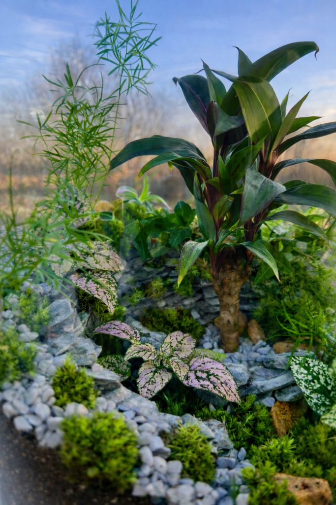 Le chemin des brumes