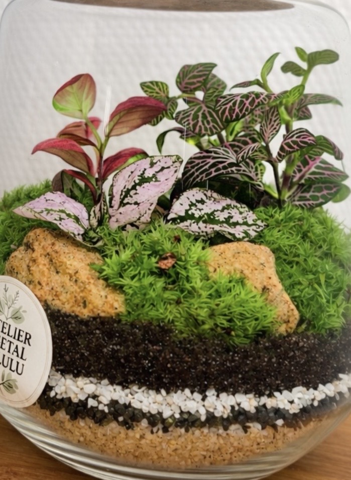 Terrarium végétal artisanal en verre fermé avec plantes naturelles by l'Atelier Végétal de Lulu