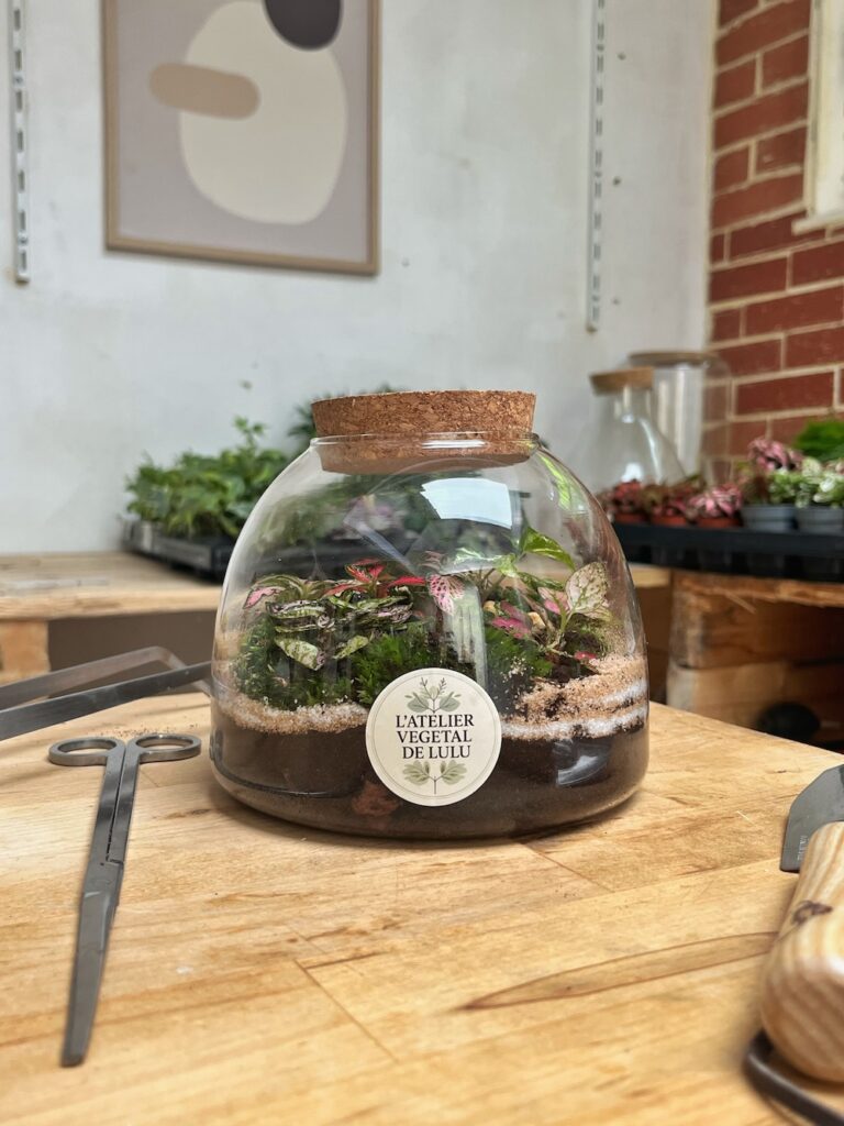 Terrarium végétal artisanal en verre fermé avec plantes naturelles by l'Atelier Végétal de Lulu