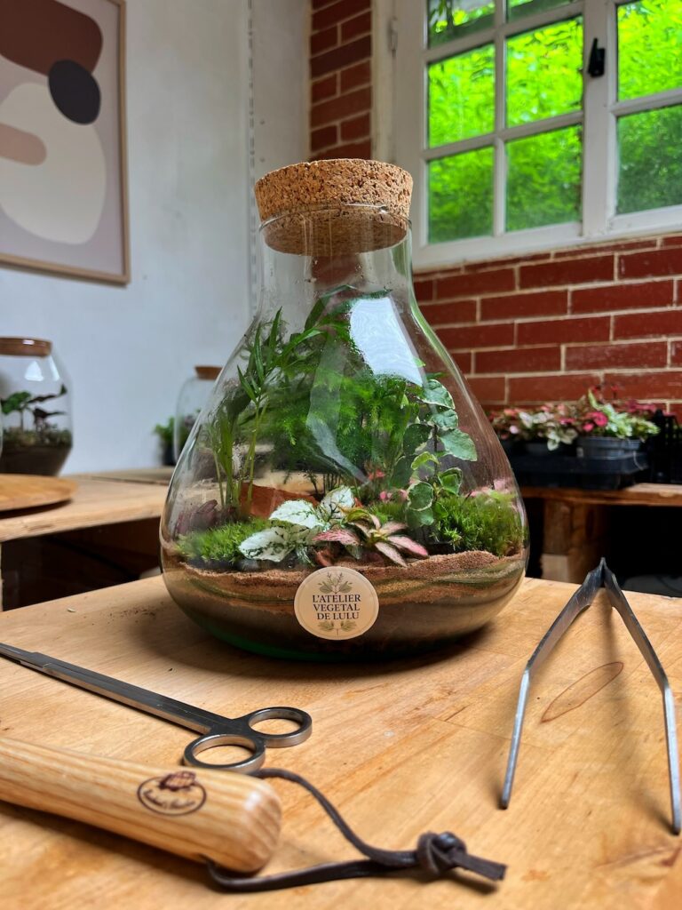 Terrarium végétal artisanal en verre fermé avec plantes naturelles by l'Atelier Végétal de Lulu