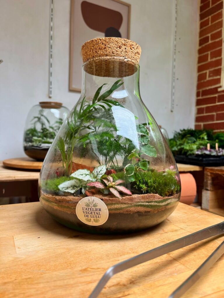 Terrarium végétal artisanal en verre fermé avec plantes naturelles by l'Atelier Végétal de Lulu