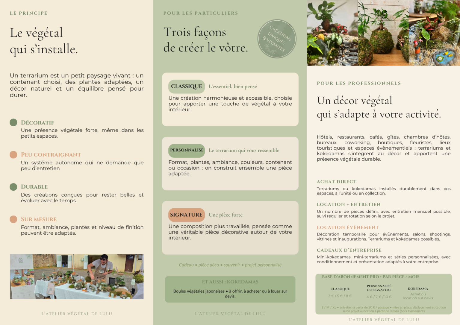 Brochure