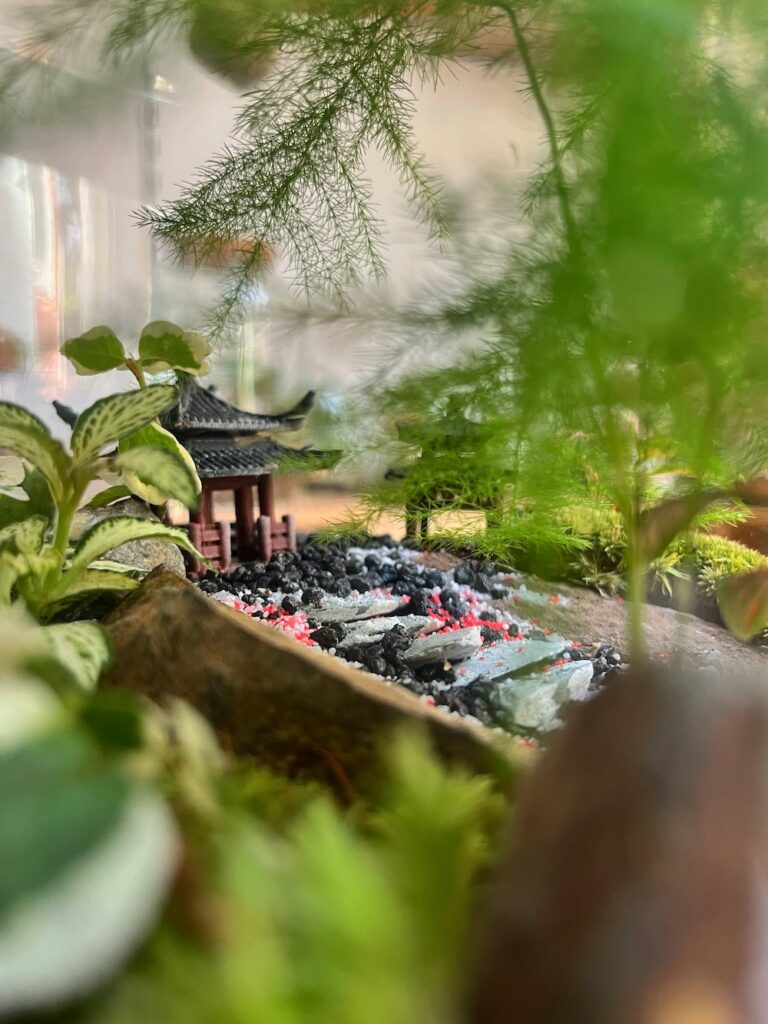 Le Jardin Japonais