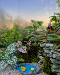 Terrarium végétal artisanal en verre fermé avec plantes naturelles by l'Atelier Végétal de Lulu