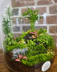 Terrarium végétal artisanal en verre fermé avec plantes naturelles by l'Atelier Végétal de Lulu