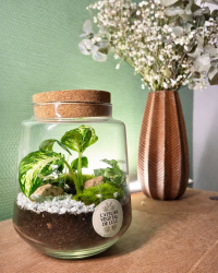 1AED5508-8943-4A7E-A0AE-E6DFF99A89DC