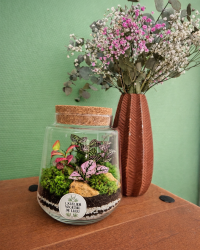 Terrarium végétal artisanal en verre fermé avec plantes naturelles by l'Atelier Végétal de Lulu