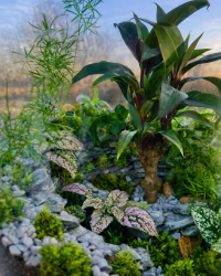 Terrarium végétal artisanal en verre fermé avec plantes naturelles by l'Atelier Végétal de Lulu