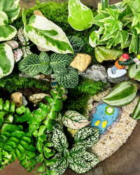Terrarium végétal artisanal en verre fermé avec plantes naturelles by l'Atelier Végétal de Lulu