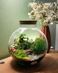 Terrarium végétal artisanal en verre fermé avec plantes naturelles by l'Atelier Végétal de Lulu