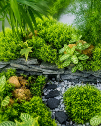 Terrarium végétal artisanal en verre fermé avec plantes naturelles by l'Atelier Végétal de Lulu