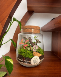 Terrarium végétal artisanal en verre fermé avec plantes naturelles by l'Atelier Végétal de Lulu