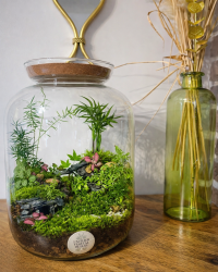 Terrarium végétal artisanal en verre fermé avec plantes naturelles by l'Atelier Végétal de Lulu