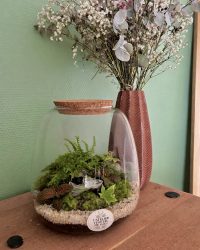 Terrarium végétal artisanal en verre fermé avec plantes naturelles by l'Atelier Végétal de Lulu