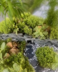 Terrarium végétal artisanal en verre fermé avec plantes naturelles by l'Atelier Végétal de Lulu