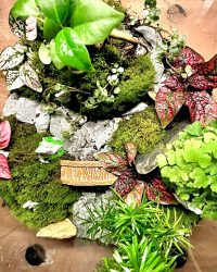 Terrarium végétal artisanal en verre fermé avec plantes naturelles by l'Atelier Végétal de Lulu