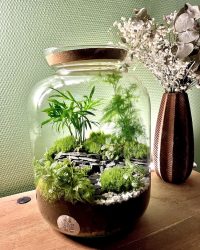 Terrarium végétal artisanal en verre fermé avec plantes naturelles by l'Atelier Végétal de Lulu