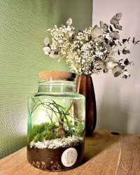 Terrarium végétal artisanal en verre fermé avec plantes naturelles by l'Atelier Végétal de Lulu