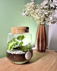 Terrarium végétal artisanal en verre fermé avec plantes naturelles by l'Atelier Végétal de Lulu