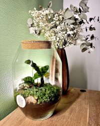 Terrarium végétal artisanal en verre fermé avec plantes naturelles by l'Atelier Végétal de Lulu