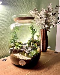Terrarium végétal artisanal en verre fermé avec plantes naturelles by l'Atelier Végétal de Lulu
