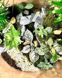 Terrarium végétal artisanal en verre fermé avec plantes naturelles by l'Atelier Végétal de Lulu