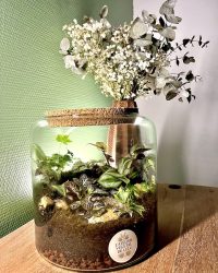 Terrarium végétal artisanal en verre fermé avec plantes naturelles by l'Atelier Végétal de Lulu