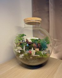 Terrarium végétal artisanal en verre fermé avec plantes naturelles by l'Atelier Végétal de Lulu