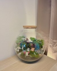 Terrarium végétal artisanal en verre fermé avec plantes naturelles by l'Atelier Végétal de Lulu