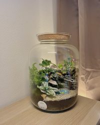 Terrarium végétal artisanal en verre fermé avec plantes naturelles by l'Atelier Végétal de Lulu