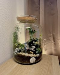 Terrarium végétal artisanal en verre fermé avec plantes naturelles by l'Atelier Végétal de Lulu