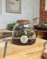 Terrarium végétal artisanal en verre fermé avec plantes naturelles by l'Atelier Végétal de Lulu