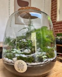 Terrarium végétal artisanal en verre fermé avec plantes naturelles by l'Atelier Végétal de Lulu