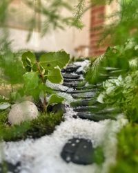 Terrarium végétal artisanal en verre fermé avec plantes naturelles by l'Atelier Végétal de Lulu