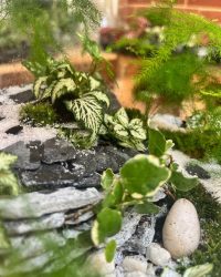 Le Sentier Zen